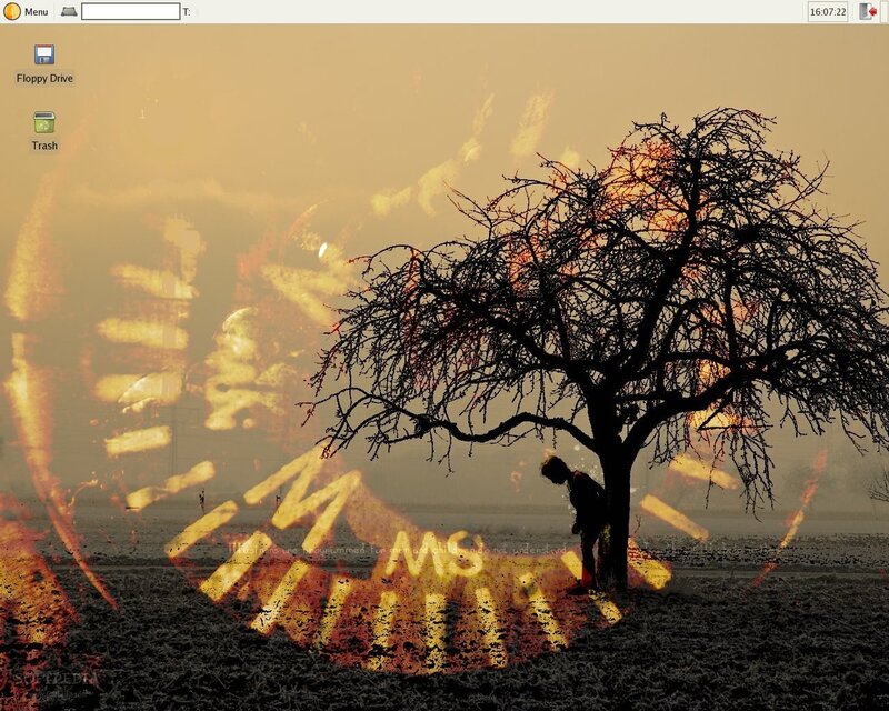 Silhouette of a person under a tree