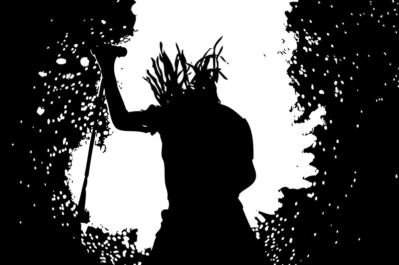 silhouette of a person with plants