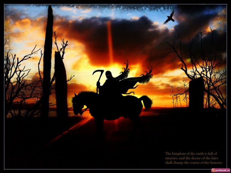 Silhouette of a rider at sunset