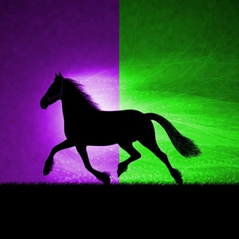 silhouette of a running horse