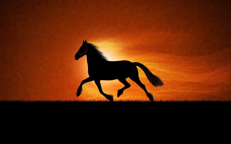 silhouette of a running horse