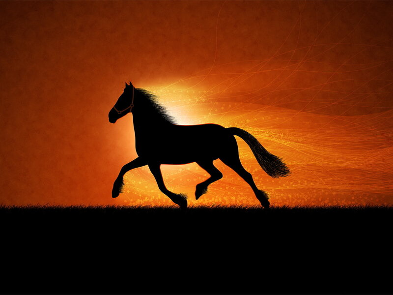 silhouette of a running horse