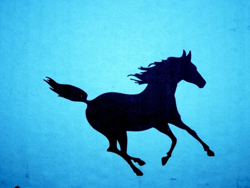 silhouette of a running horse