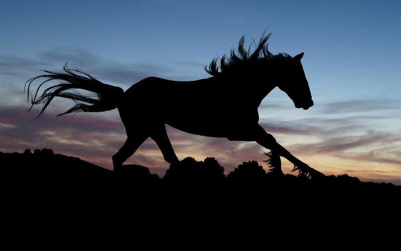 Silhouette of a Running Horse — Blue, Dramatic