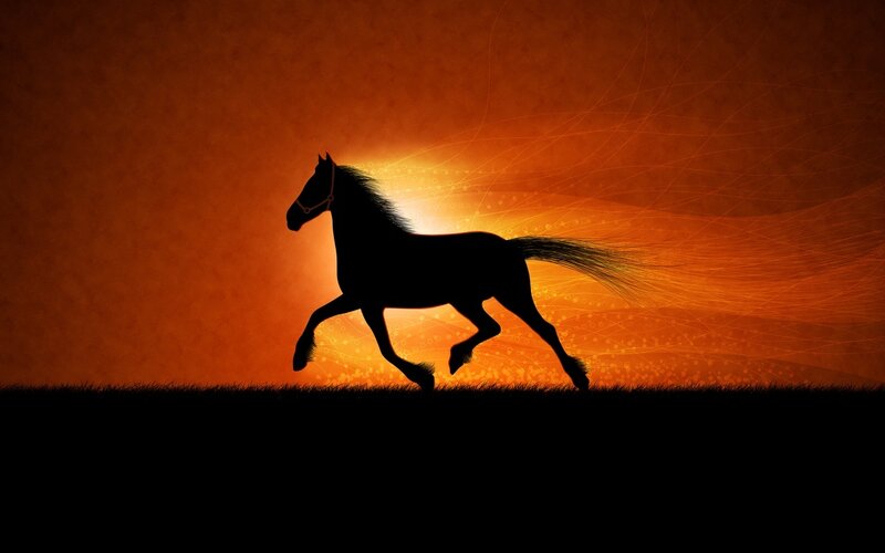Silhouette of a Running Horse — Orange, Dramatic