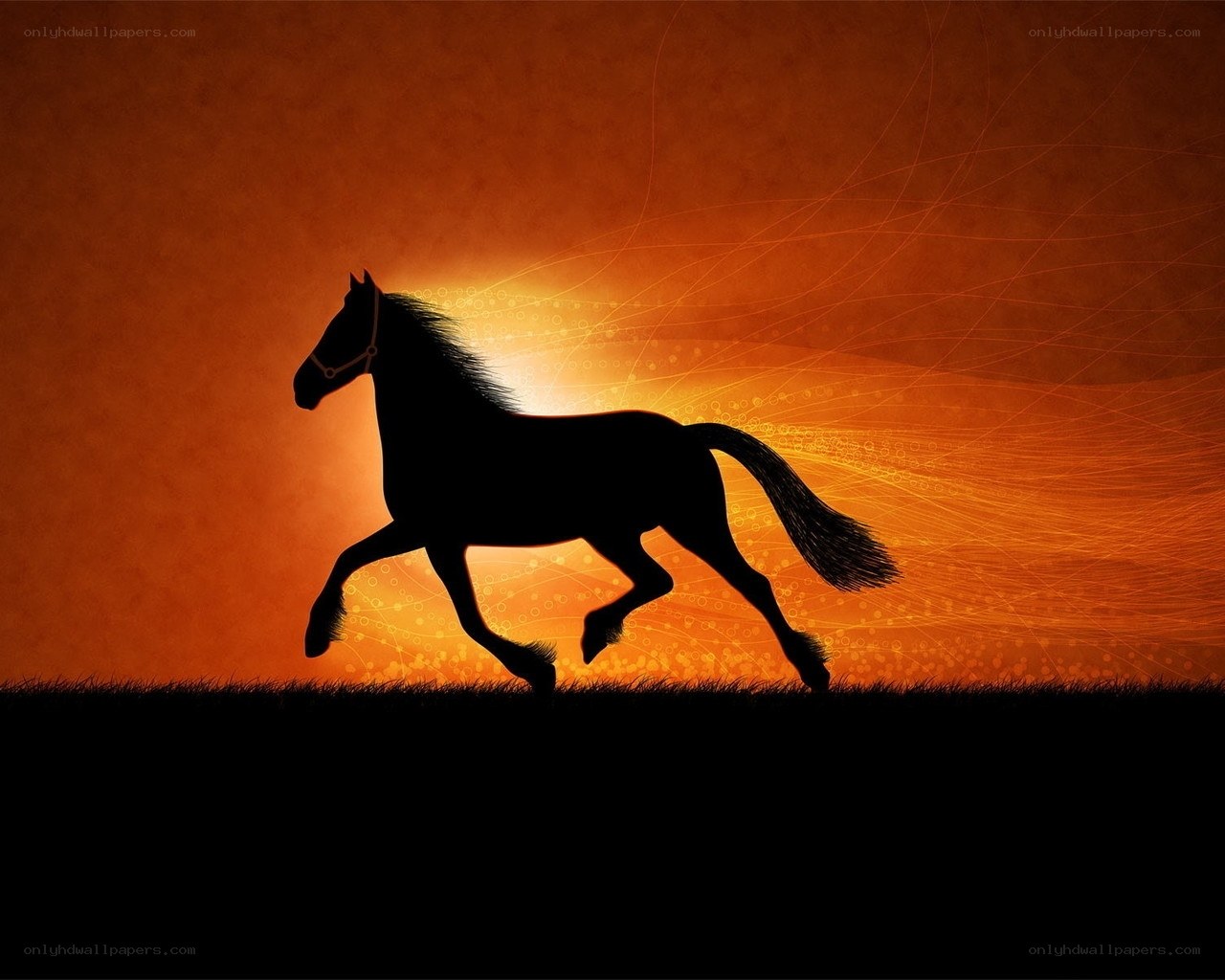 silhouette of a running horse