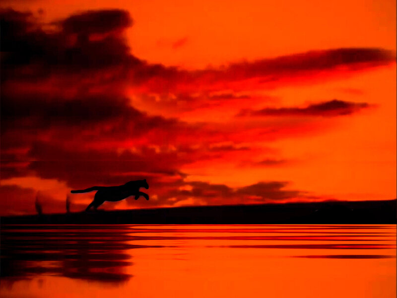 Silhouette of a Running Jaguar