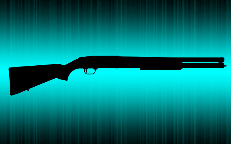 silhouette of a shotgun