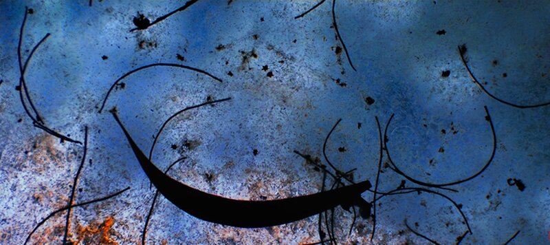 Silhouette of a Sickle