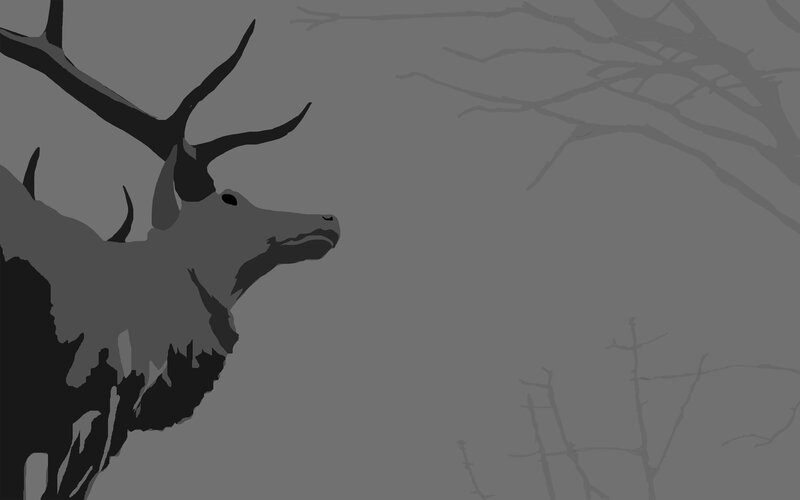 silhouette of a stag in forest