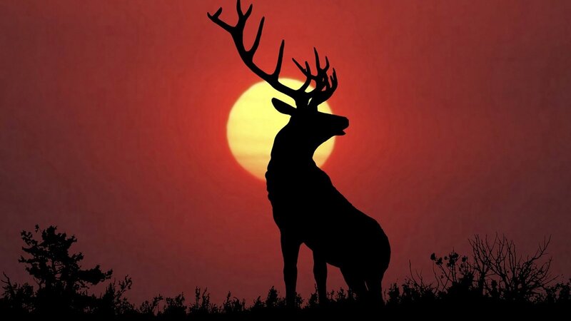 Silhouette of a Stag — Red
