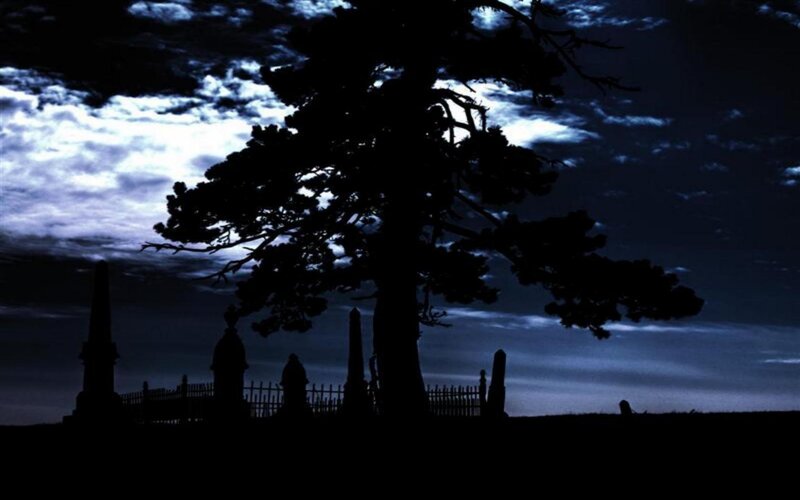 Silhouette of a tree at night