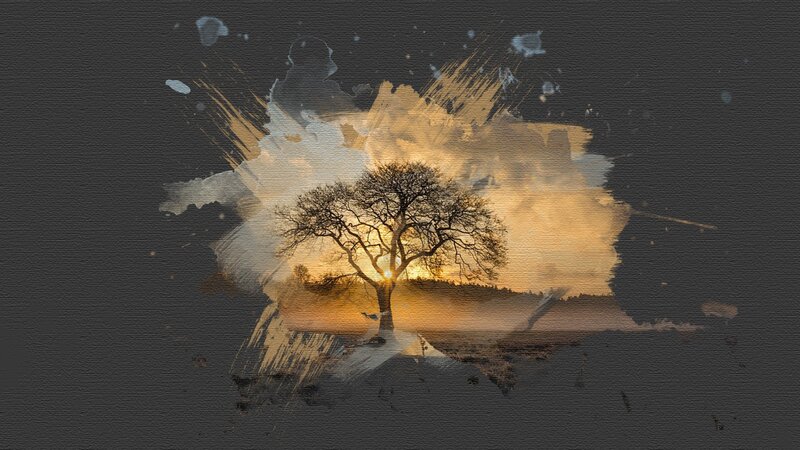 Silhouette of a Tree — Black, Dramatic, Sunset