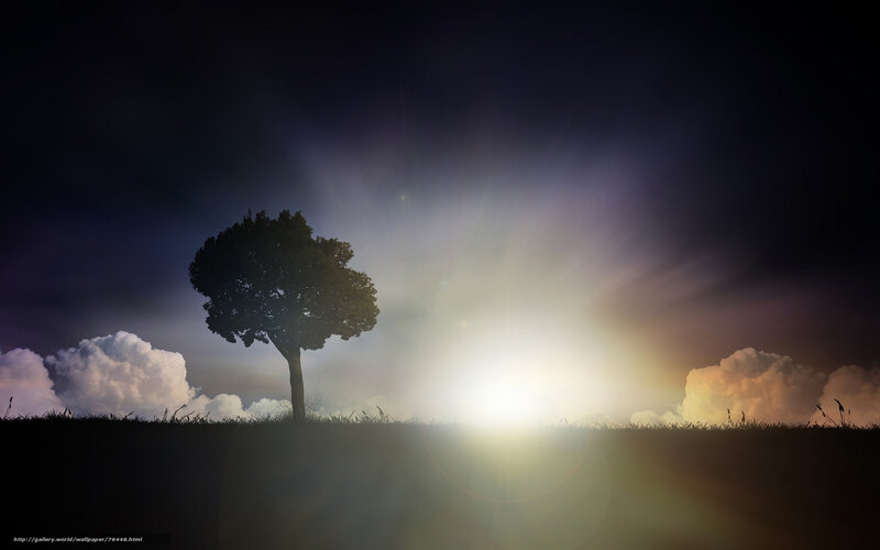 Silhouette of a Tree — Black, Dramatic
