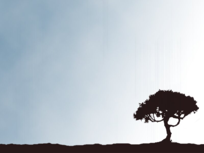 Silhouette of a Tree — Black, Serene, Minimalist