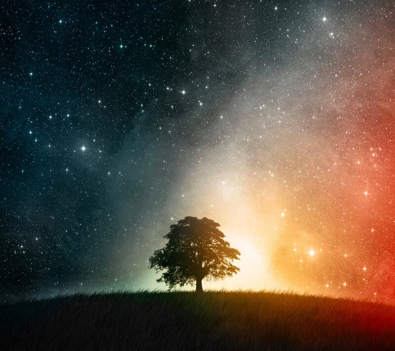 Silhouette of a Tree — Black, Serene, Night, Digital Art, Grass, Stars, Orange