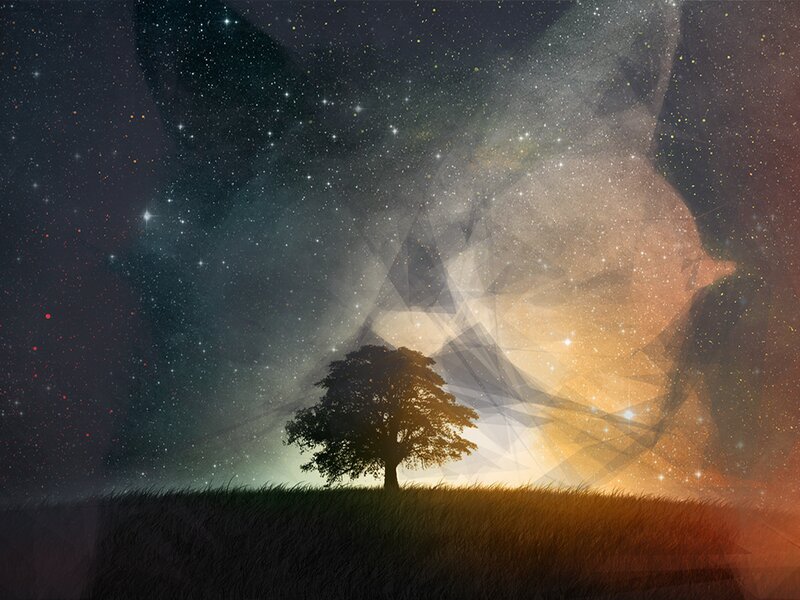 Silhouette of a Tree — Black, Serene, Night, Digital Art, Grass, Stars