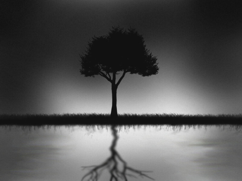Silhouette of a Tree — Black, Serene, Night, Digital Art, Grass, Water