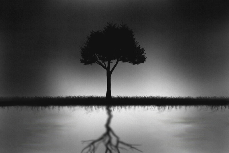 Silhouette of a Tree — Black, Serene, Night, Digital Art, Grass, Water, White