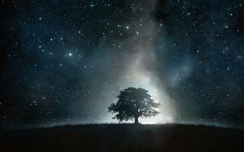 Silhouette of a Tree — Black, Serene, Night, Digital Art, Stars, Sky, Grass