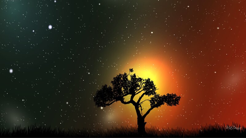 Silhouette of a Tree — Black, Serene, Night, Digital Art, Stars