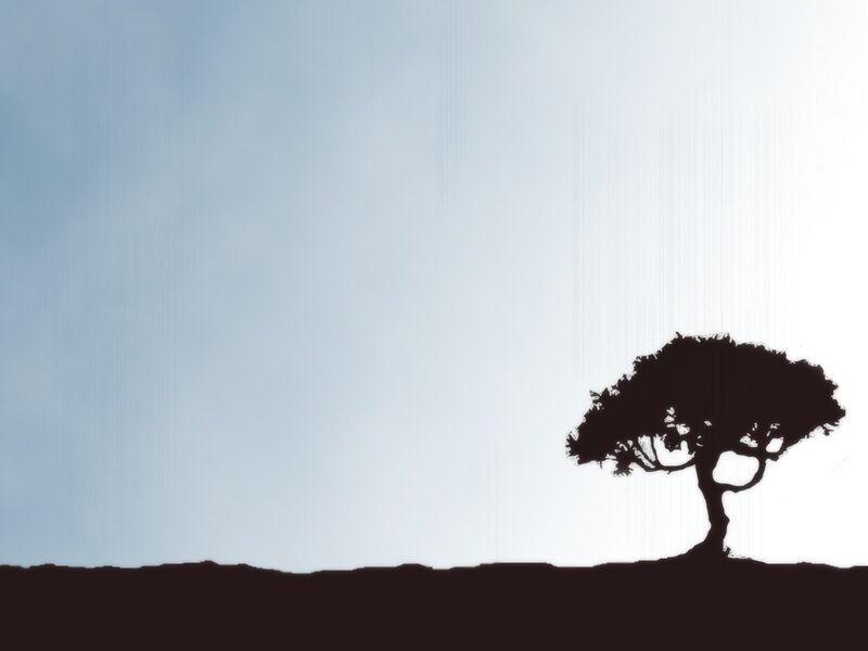 Silhouette of a Tree — Black, Serene