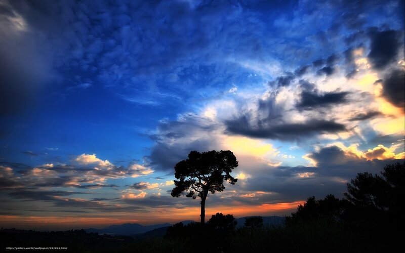Silhouette of a Tree — Blue, Dramatic, Sunset, Photograph, Clouds
