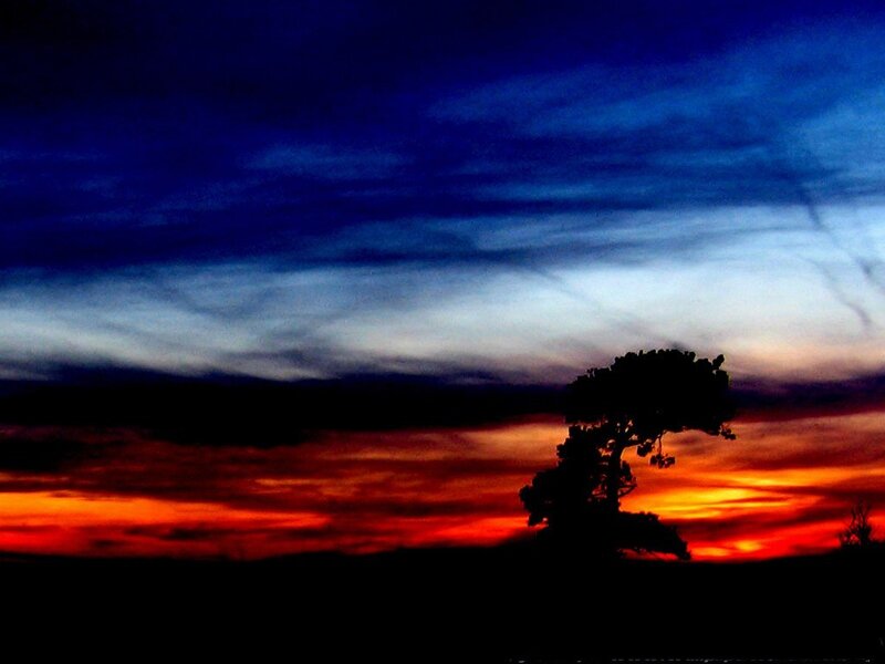 Silhouette of a Tree — Blue, Dramatic, Sunset, Photograph, Sky, Clouds