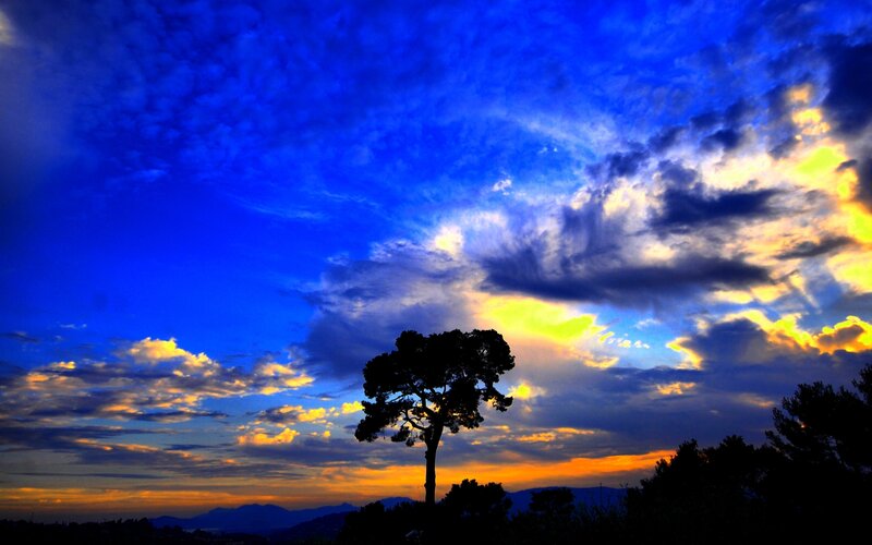 Silhouette of a Tree — Blue, Dramatic, Sunset, Photograph