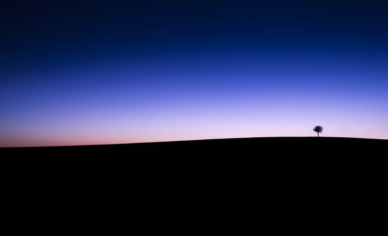 Silhouette of a Tree — Blue, Serene, Sunset, Photograph, Sky, Hill