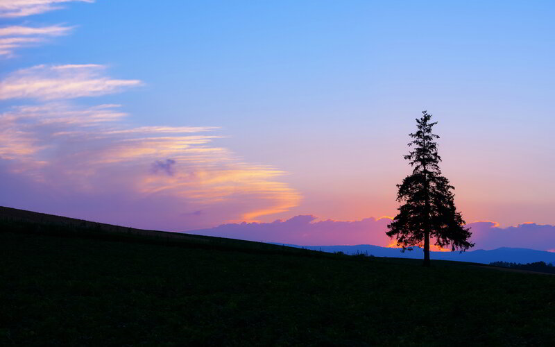 Silhouette of a Tree — Blue, Serene, Sunset, Photograph, Sky, Hills