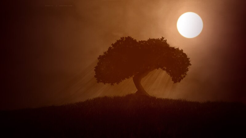 Silhouette of a Tree — Brown