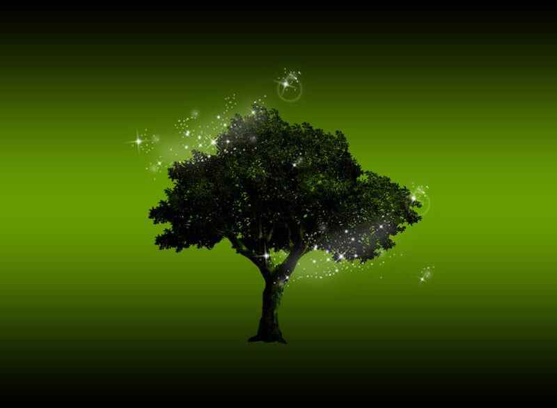 Silhouette of a Tree — Green