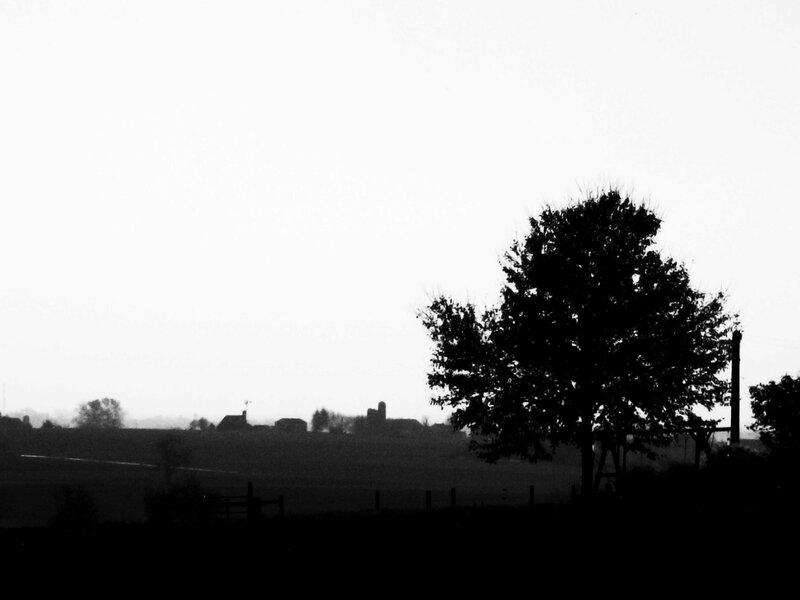 Silhouette of a tree on a farm