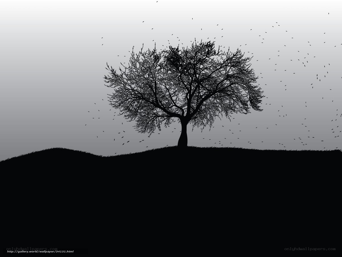 Silhouette of a tree on a hill