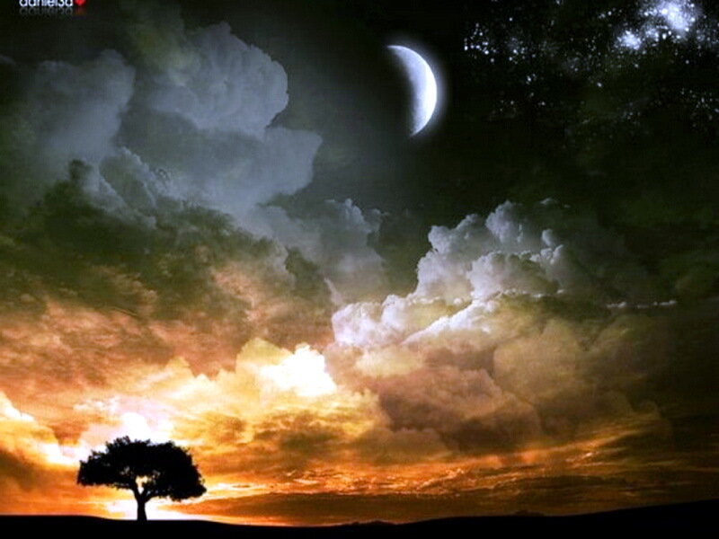 Silhouette of a Tree — Orange, Dramatic, Sunset, Digital Art