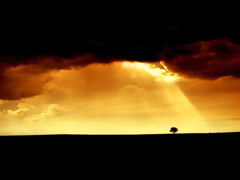 Silhouette of a Tree — Orange, Dramatic, Sunset, Photograph, Clouds