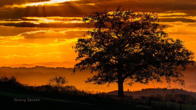 Silhouette of a Tree — Orange, Dramatic, Sunset, Photograph, Mountains