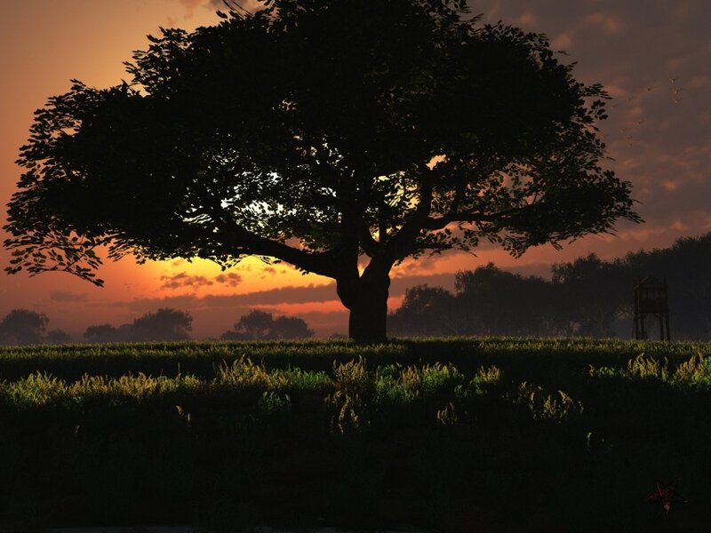 Silhouette of a Tree — Orange, Dramatic