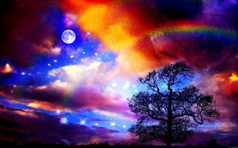 Silhouette of a Tree — Purple, Dramatic, Night