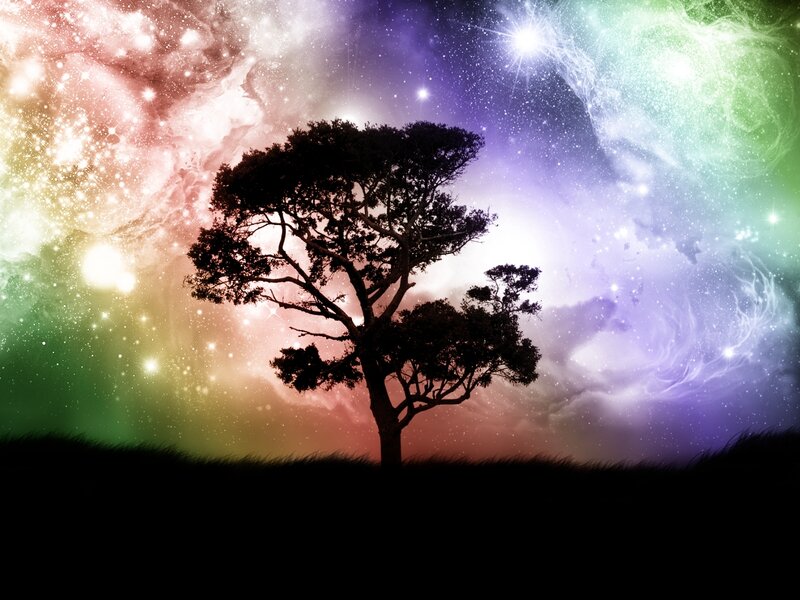 Silhouette of a Tree — Purple