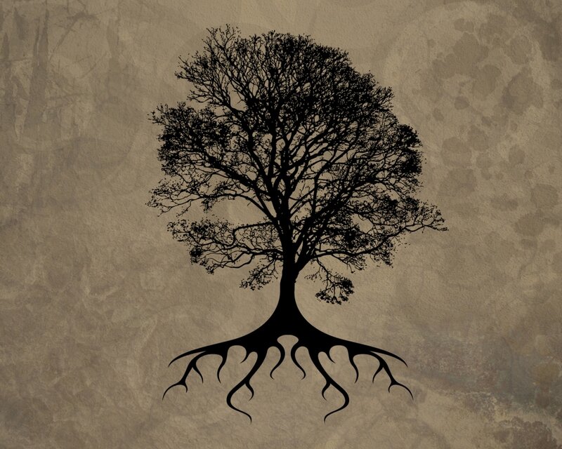 Silhouette of a tree with roots