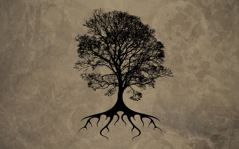 Silhouette of a tree with roots
