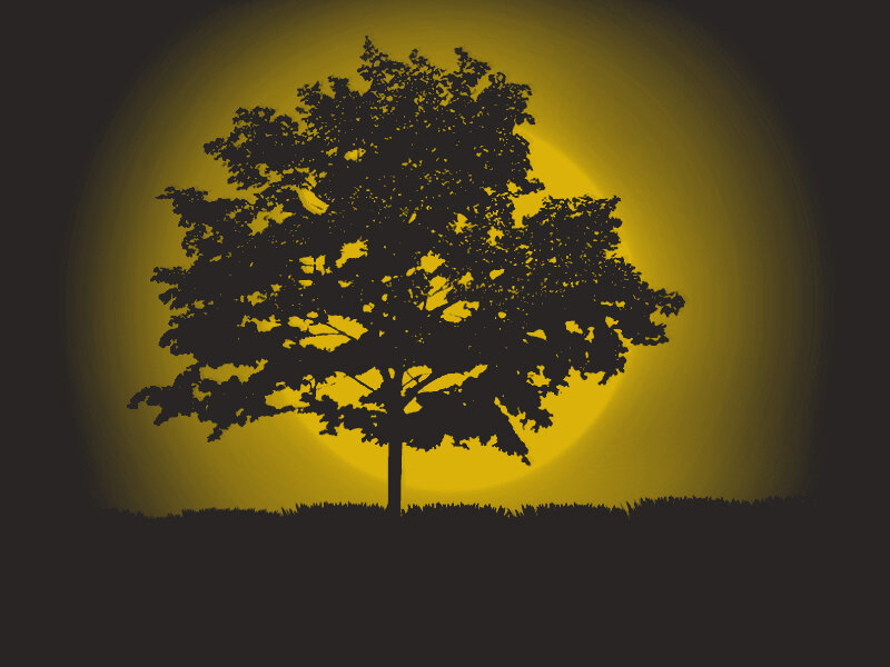 Silhouette of a Tree — Yellow, Dramatic, Night