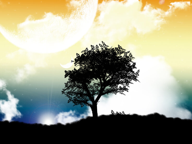 Silhouette of a Tree — Yellow, Serene, Night