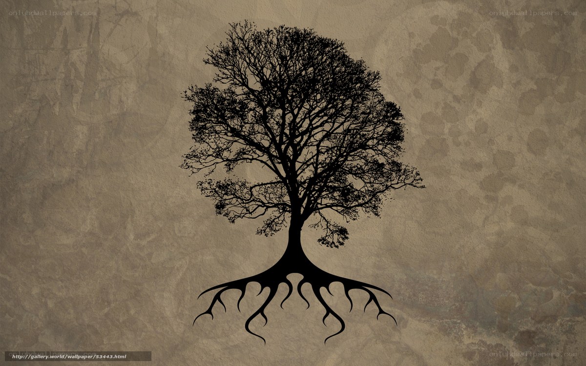 Silhouette of a tree