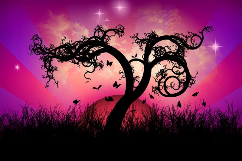 Silhouette of a Twisted Tree