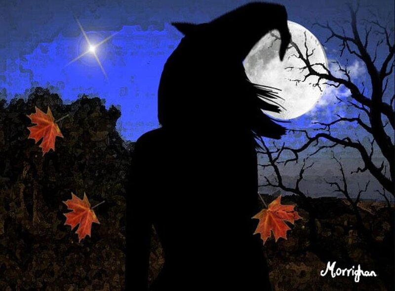 Silhouette of a Werewolf