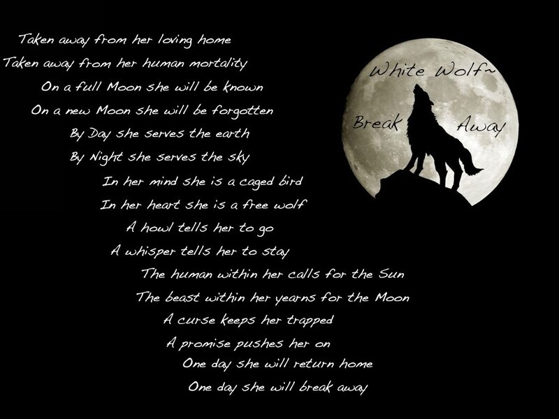 Silhouette of a Wolf — Black, Dramatic, Night