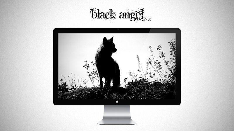 Silhouette of a Wolf — Black, Dramatic